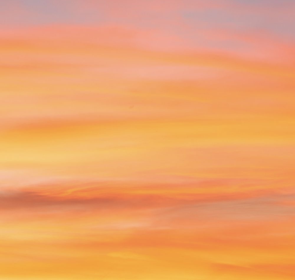 Immagine di copertina dell'elenco